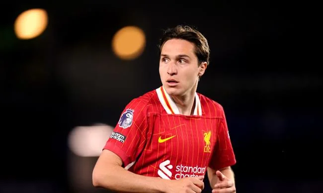 Đá gà trực tuyến sống động